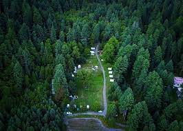 Sharan Forest in SHARAN FOREST